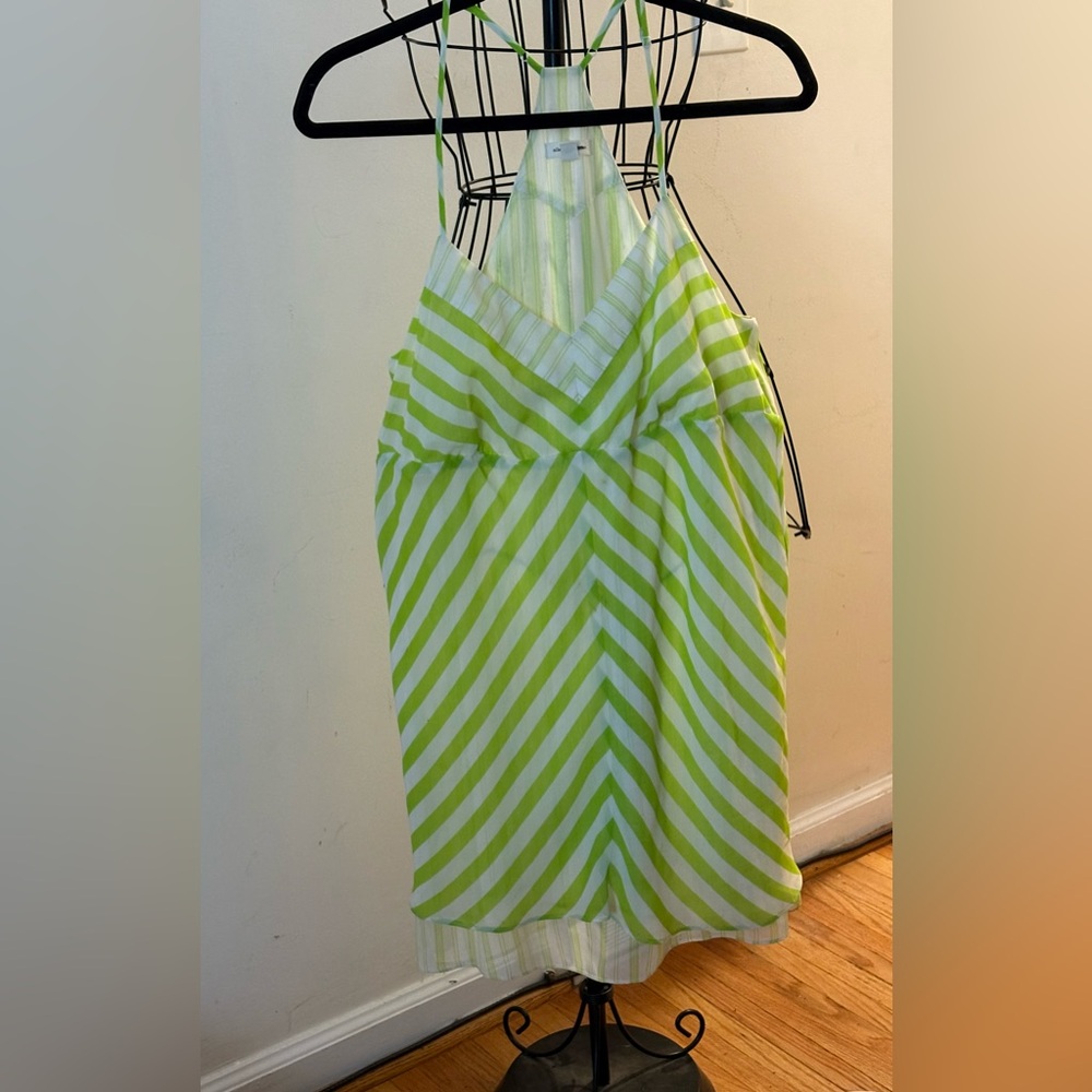 Silence + Noise Green and White Striped Dress